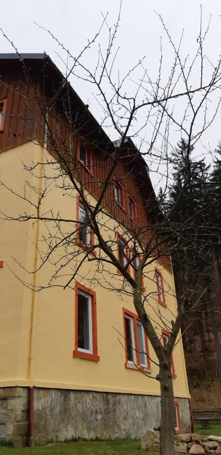شقة Haus Stefanie Elvire Altenberg المظهر الخارجي الصورة